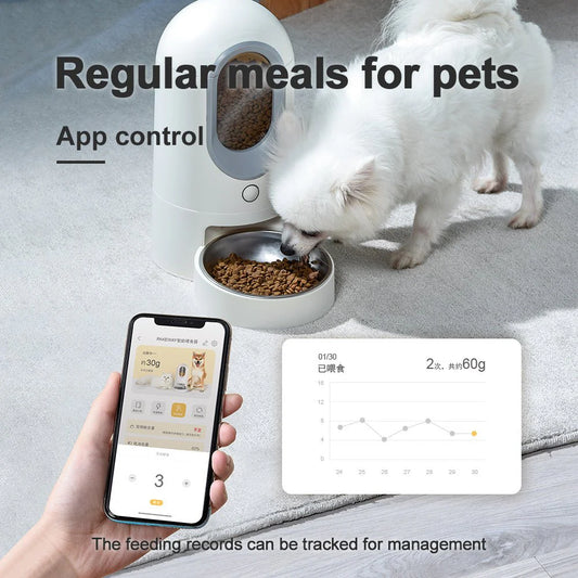 HEYBO WiFi-Enabled Automatic Cat Feeder with App Control and Timed Dispensing